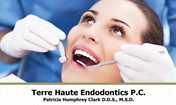 TERRE HAUTE ENDODONTICS PC