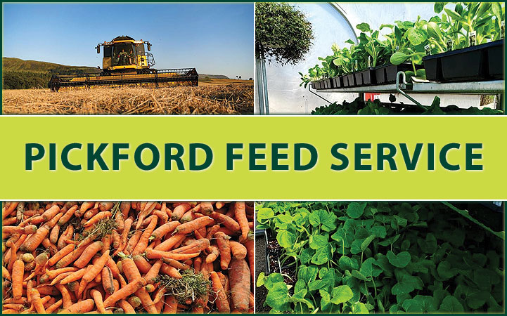 PICKFORD FEED SERVICE