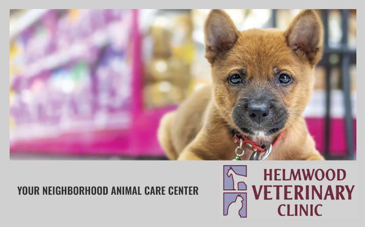 HELMWOOD VETERINARY CLINIC