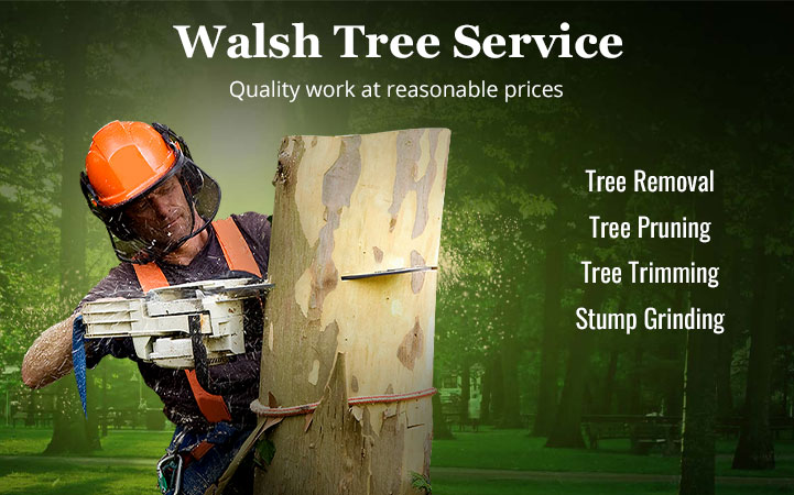 WALSH TREE SERVICE