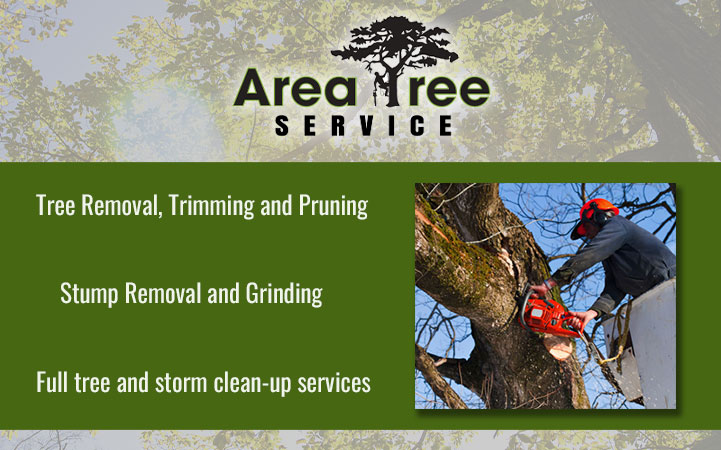 AREA TREE SERVICE