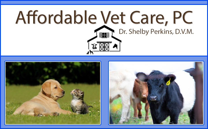 Learn more about AFFORDABLE VET CARE