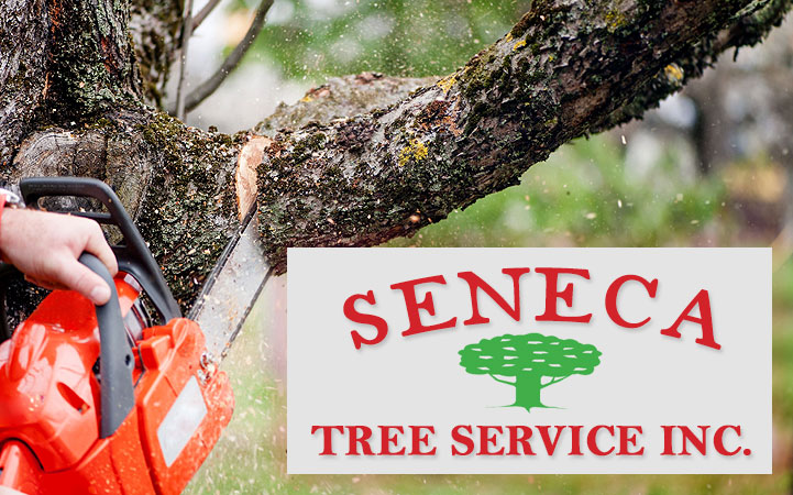 SENECA TREE SERVICE
