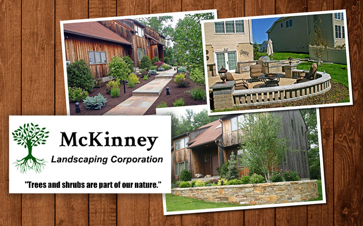 MCKINNEY LANDSCAPING CORP