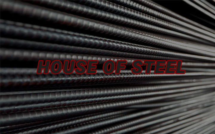 HOUSE OF STEEL