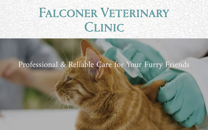 FALCONER VETERINARY CLINIC - Local VETERINARIANS in Falconer, NY