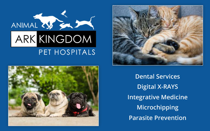 ANIMAL ARK PET HOSPITAL