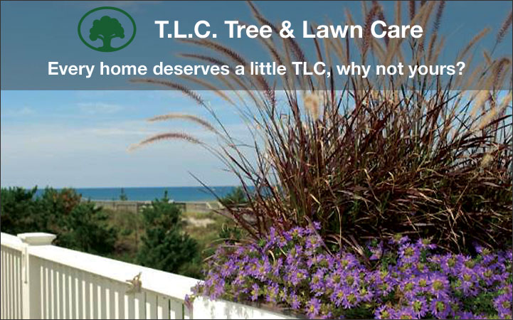 T.L.C. TREE & LAWN CARE, INC. - Local LANDSCAPE: TREE SERVICES in East Quogue, NY