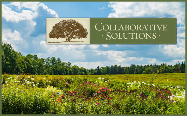 COLLABORATIVE SOLUTIONS CORP