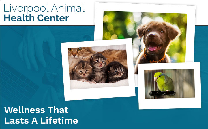 LIVERPOOL ANIMAL HEALTH CENTER