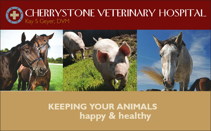 CHERRYSTONE VETERINARY HOSPITAL - Local VETERINARIANS in Chatham, VA