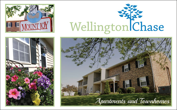 WELLINGTON CHASE