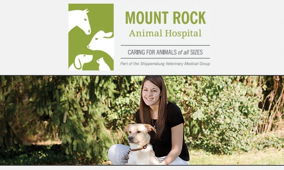 MOUNT  ROCK ANIMAL HOSPITAL