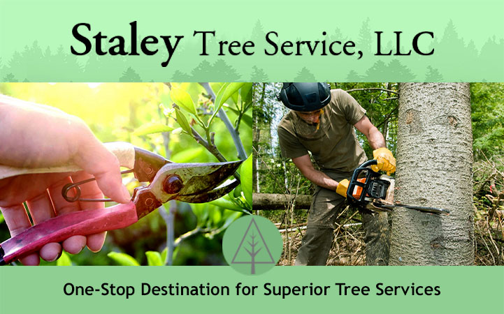 STALEY TREE SERVICE LLC