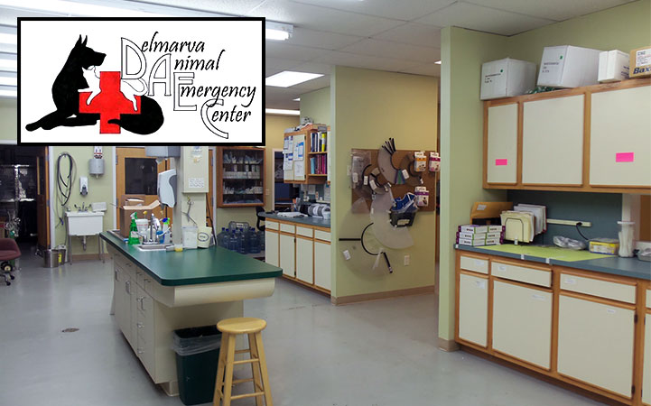DELMARVA ANIMAL EMERGENCY CENTER