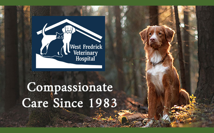 WEST FREDERICK VETERINARY HOSPITAL