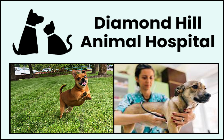 DIAMOND HILL ANIMAL HOSPITAL - Local VETERINARIANS in Lynchburg, VA