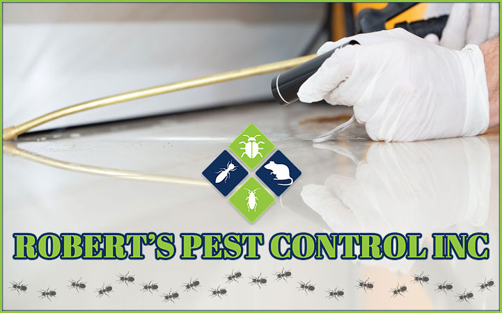 ROBERT'S PEST CONTROL INC - Local PEST CONTROL in Hollidaysburg, PA