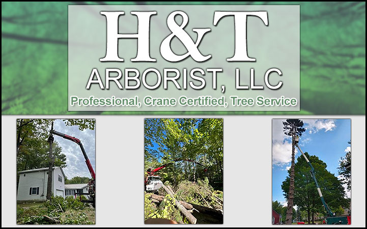 H&T ARBORIST LLC