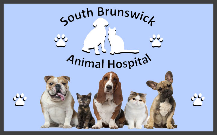 SOUTH BRUNSWICK ANIMAL HOSPITAL