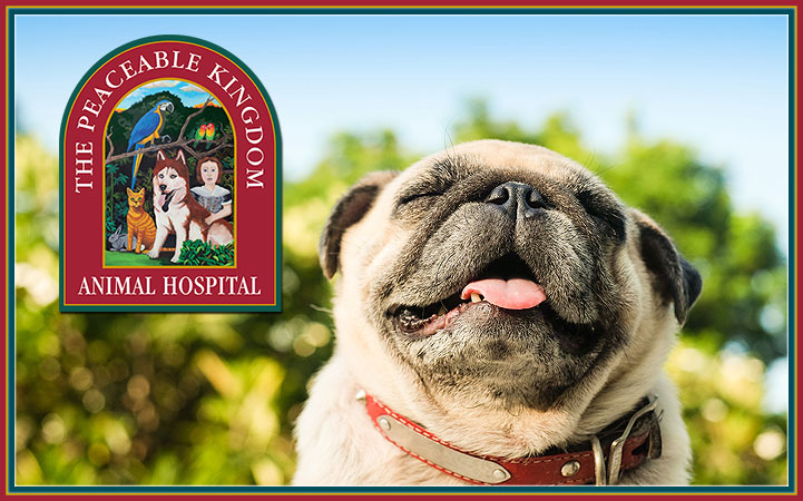 PEACEABLE KINGDOM ANIMAL HOSPITAL