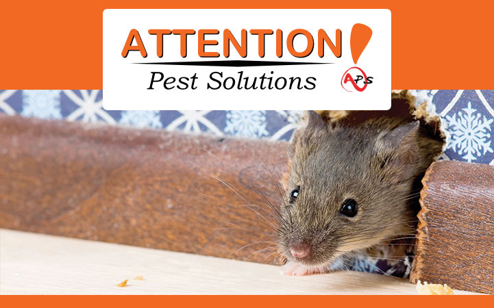 ATTENTION PEST SOLUTIONS LLC