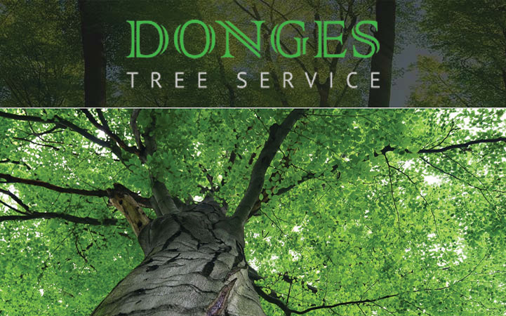 DONGES TREE SERVICE INC - Local LANDSCAPE: TREE SERVICES in East Chatham, NY