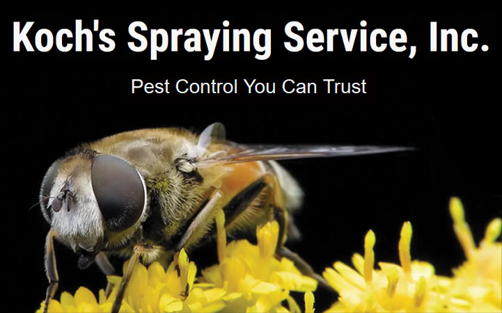 KOCH'S SPRAYING SERVICE, INC. - Local PEST CONTROL in Pavilion, NY