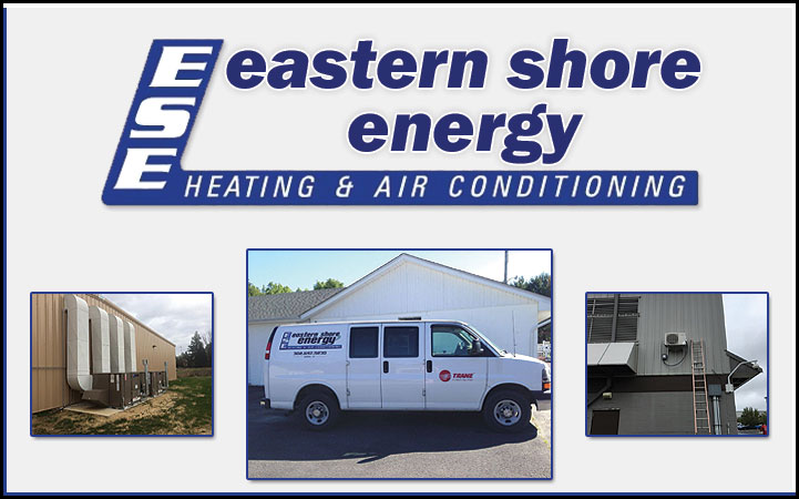 EASTERN SHORE ENERGY INC in Camden, DE