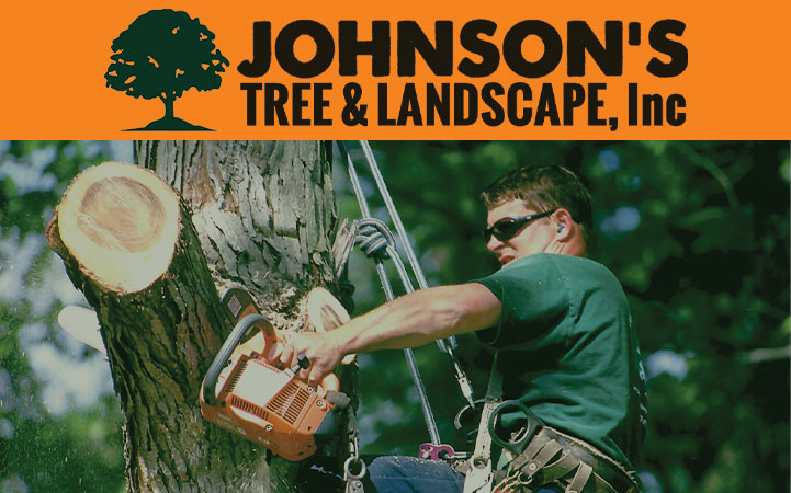 Learn more about JOHNSON TREE REMOVAL