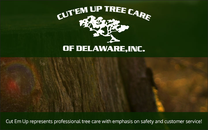 CUT'EM UP TREE CARE OF DELAWARE INC
