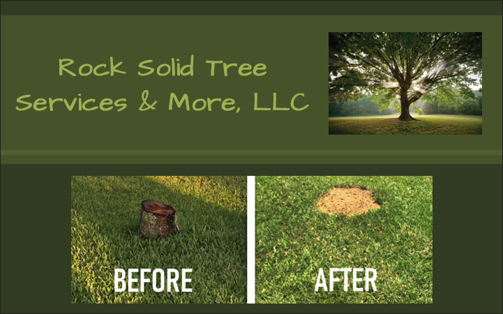 ROCK SOLID TREE SERVICE