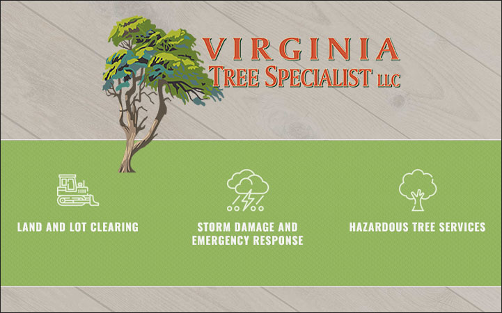 VIRGINIA TREE SPECIALIST - Local LANDSCAPE: TREE SERVICES in Culpeper, VA
