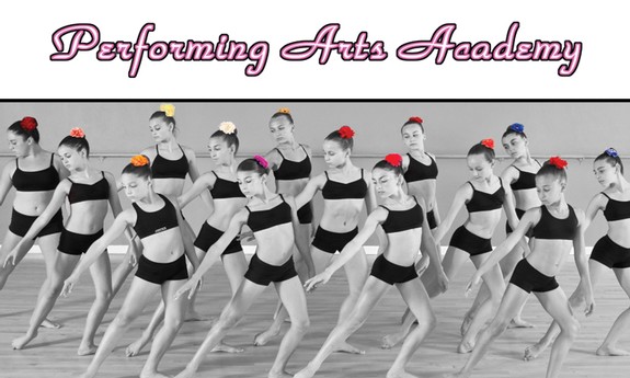PERFORMING ARTS ACADEMY