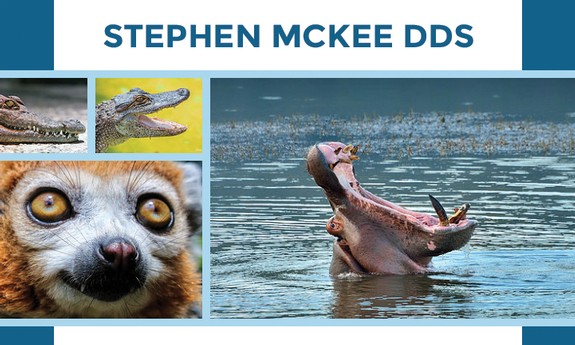 STEPHEN L. MCKEE, DDS