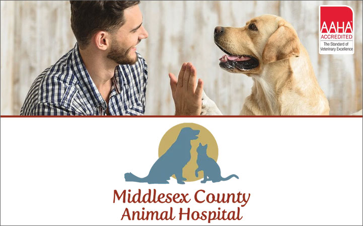 MIDDLESEX COUNTY ANIMAL HOSPITAL