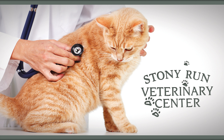 STONY RUN VETERINARY CENTER
