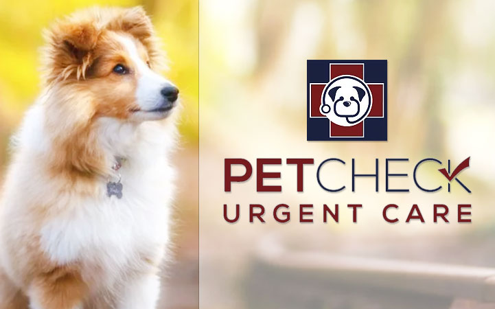 PET CHECK URGENT CARE