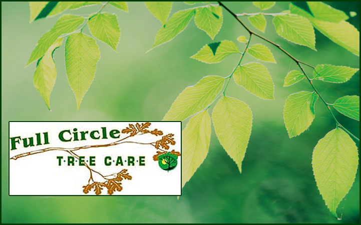 FULL CIRCLE TREE CARE