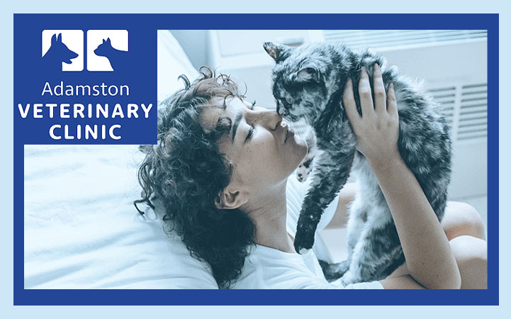 ADAMSTON VETERINARY CLINIC