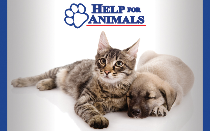HELP FOR ANIMALS