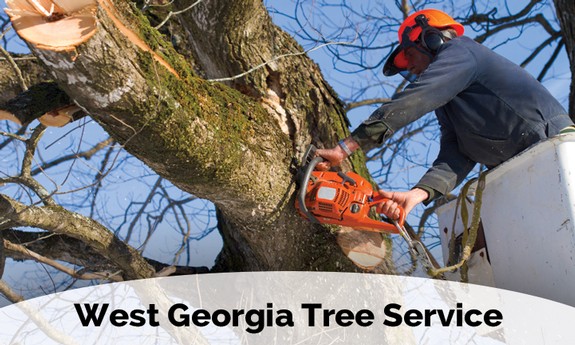 WEST GEORGIA TREE SERVICE