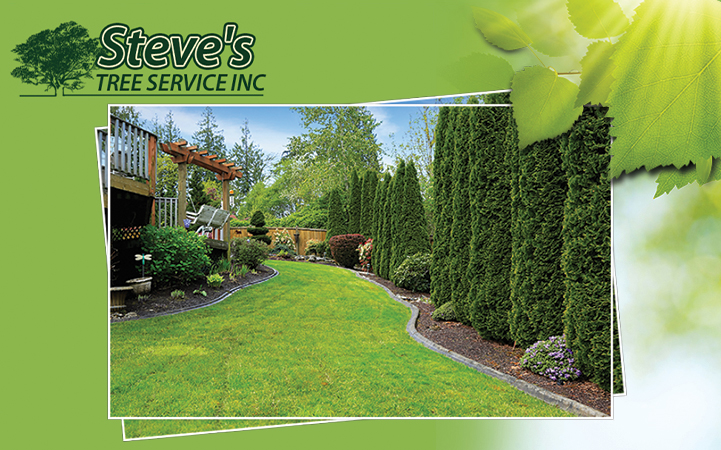 STEVE'S TREE SERVICE