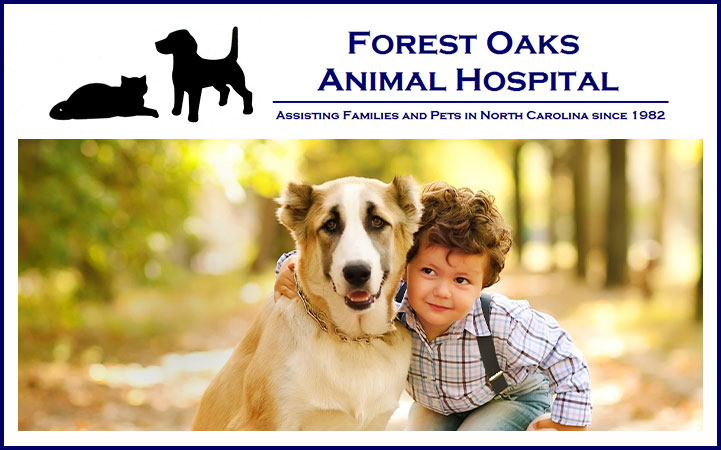 FOREST OAKS ANIMAL HOSPITAL - Local VETERINARIANS in Greensboro, NC