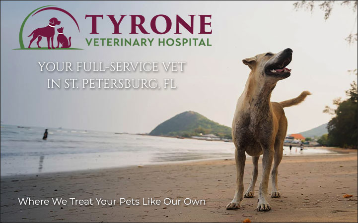 TYRONE VETERINARY HOSPITAL