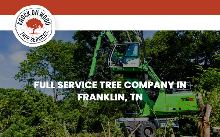 KNOCK ON WOOD TREE SERVICES LLC