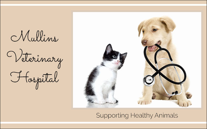 MULLINS VETERINARY HOSPITAL