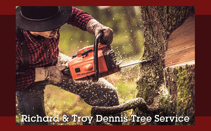 RICHARD AND TROY DENNIS TREE SERVICE