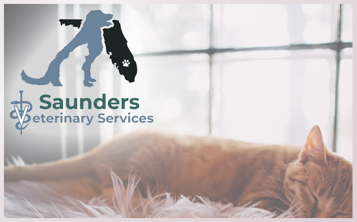 SAUNDERS VETERINARY SERVICES