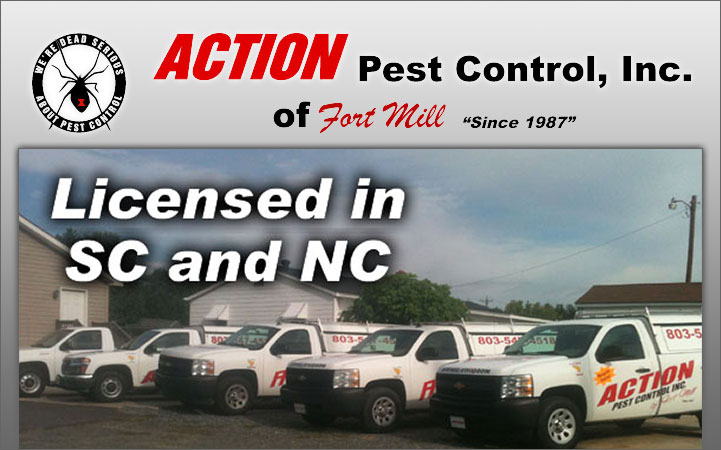 ACTION PEST CONTROL